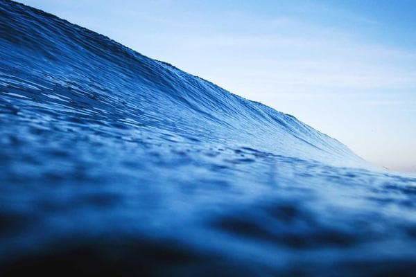 The Future of AI: Trends to Watch in 2025