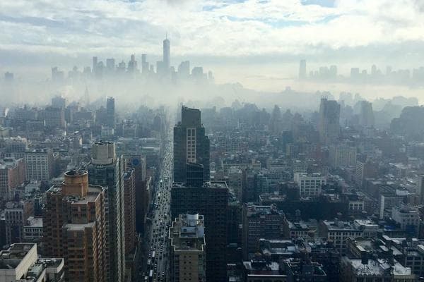 Top 5 Reasons Why Python is the Perfect First Programming Language